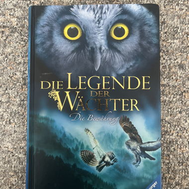 Die Legende der Wächter – Die Bewährung