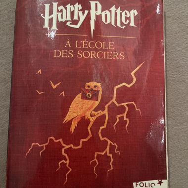 Harry Potter e la pietra filosofale