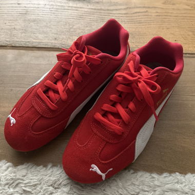 Pumas