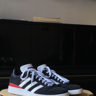 Adidas Busenitz
