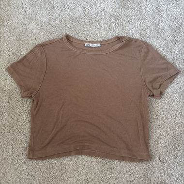 Brown Zara T-Shirt