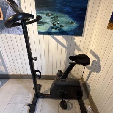Heimtrainer