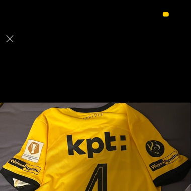 YB Trikot signiert( Amenda)
