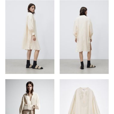 Zara dress