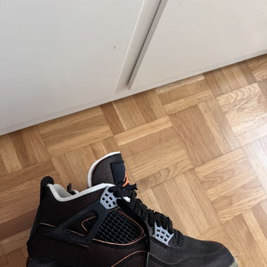jordan 4 starfish