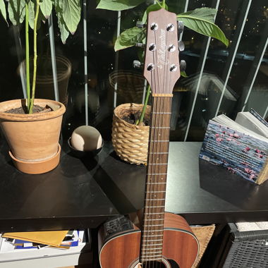 Tekamine guitar