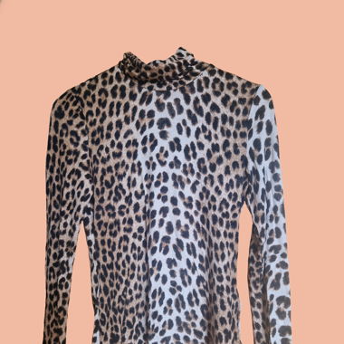 Leopard Print Turtleneck