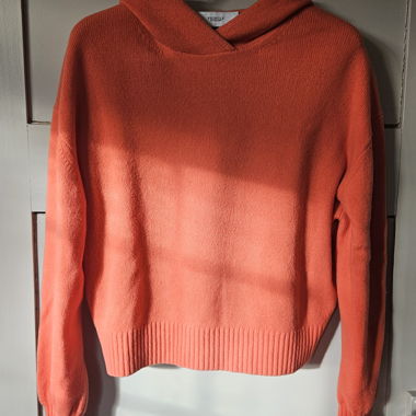 Sweat à capuche en cachemire
