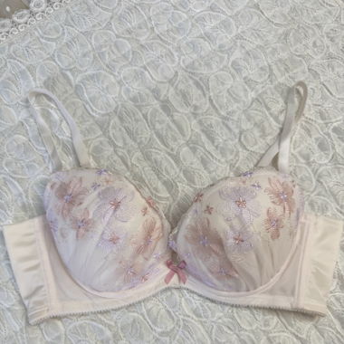 Embroidery Cream Lace Bra (New-70C)
