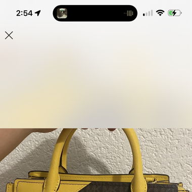 Michael kors bag