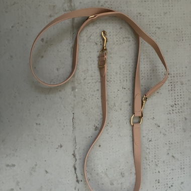 Laisse pour chien