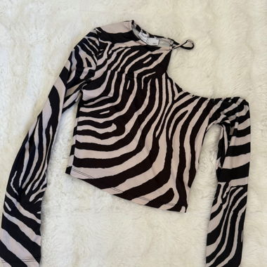 RESERVED Sequin skirt and Zebra top