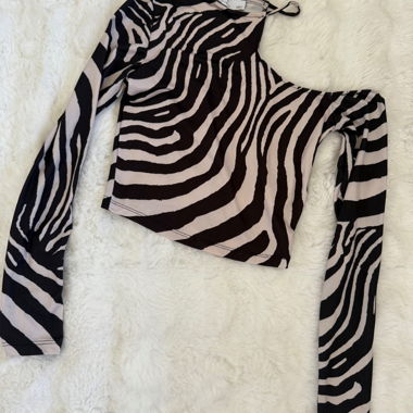 RESERVED Sequin skirt and Zebra top