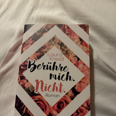 Berühre mich nicht Roman - Laura Kneidl