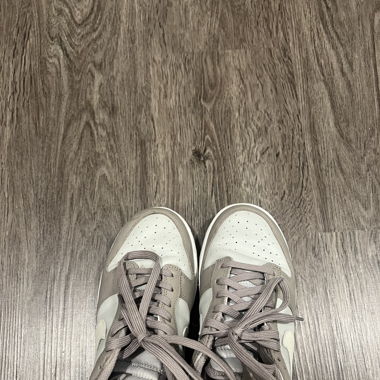 Nike Dunk Beige