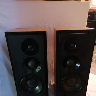 ATC SCM 50 gebrauchte Studiomonitore