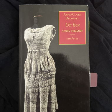 Un lieu sans raison Novel