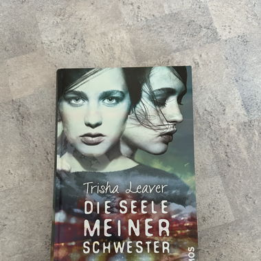 Die Seele meiner Schwester - Buch