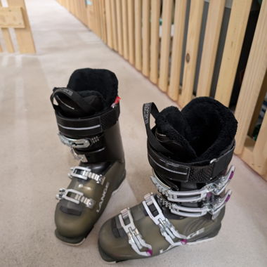 Skischuhe