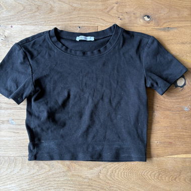 Zara Top