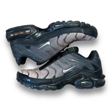 Nike TN Air Max Plus [45]