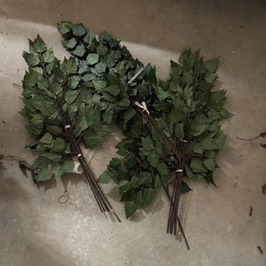 Branches décoratives avec feuilles - neuves