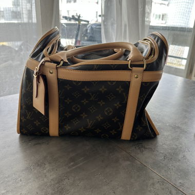 Borsa Louis Vuitton monogram con custodia