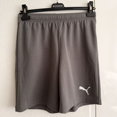 Grey Puma Sports Shorts