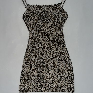 Leopard Print Mini Dress
