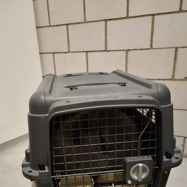 Grosse Transportbox mit Rollen, Hund/Katze