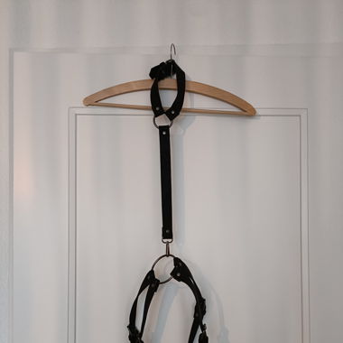 Leather harness 