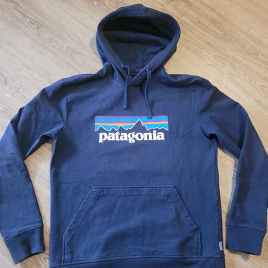 Hoodie Patagonia