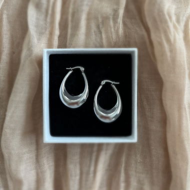 Orecchini a cerchio color argento