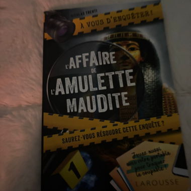 Lot deux livres d’enquêtes enfant 
