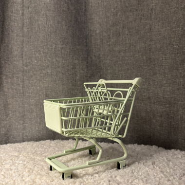 Mini shopping cart made of metal mint green