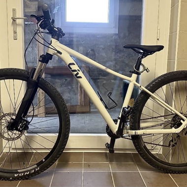 White Mountain Bike