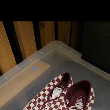 Vans shoes