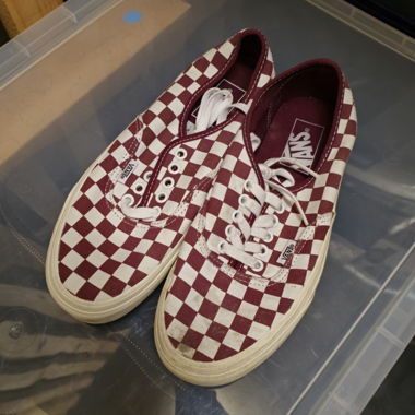 Vans shoes