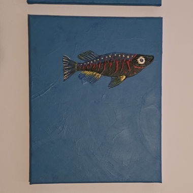 3er-Set Fisch-Bilder auf Leinwand