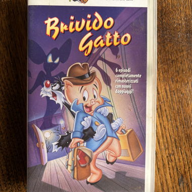 VHS Brivido Gatto Warner Bros ITA