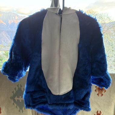 Carnaval - 2 costumes pour enfants