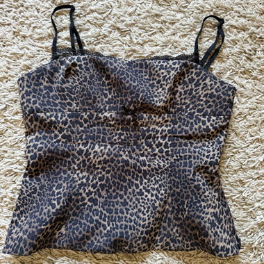 Zara Leopard Print Top