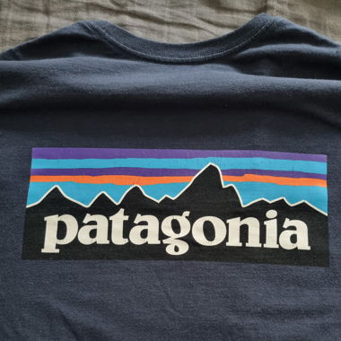 Patagonia T, Regular Fit M