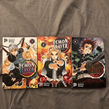 Demon Slayer 8, 9 oder 10 Einzelverkauf