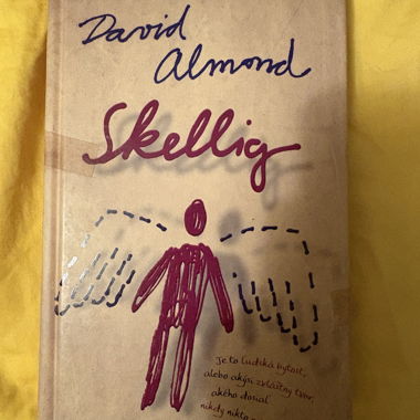Skellig - David Almond