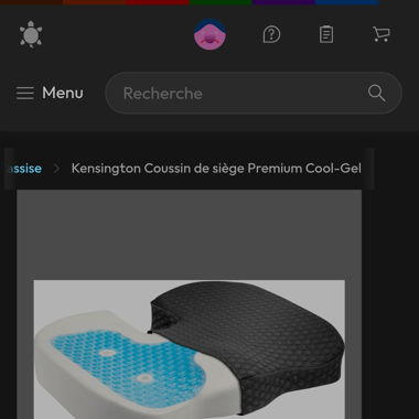 Coussin en gel