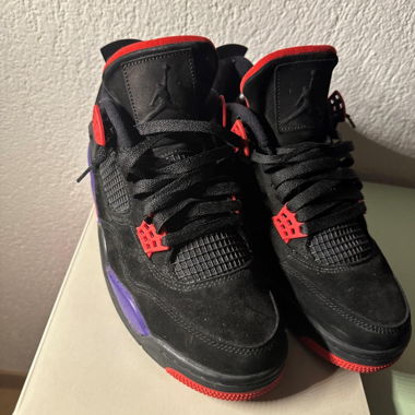 Nike Air Jordan 4 "Raptors"