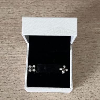 Boucles d’oreilles Pandora