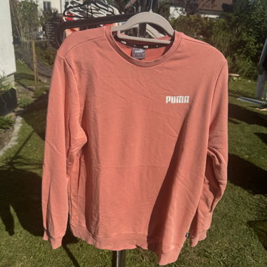 Sweat Puma rose