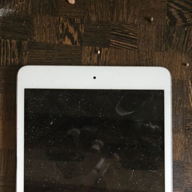 Apple IPad Mini 